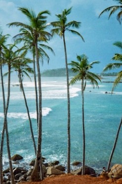 Mirissas
