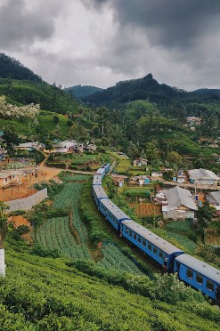 Nuwaraeliya